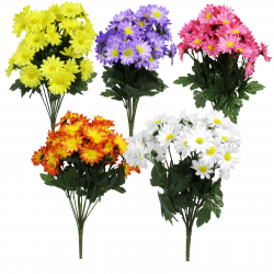 JENO DAISY BUSH X14 (42 FLOWERS) 