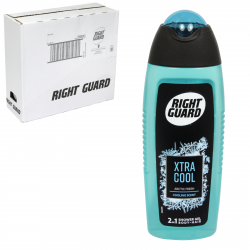 RIGHT GUARD 2IN1 SHOWER GEL 250ML XTRA COOL ARCTIC FRESH X6