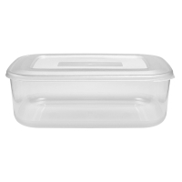 FOOD CONTAINER RECTANGLE CLEAR 3L 250MMX180MMX90MM