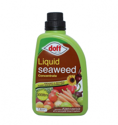 DOFF LIQUID SEAWEED1L